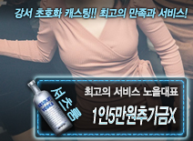 [1인5만원추가금X-노을대표]